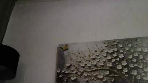 AnyBigTitts online show from March 1, 2026, 4:42 pm