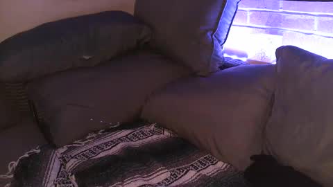 Snapshot of aphrodite_ash chatting on September 25, 2025, 7:56 am Shy Happy Pair online show from September 25, 2025, 7:56 am