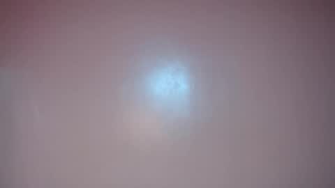 Snapshot of apple2561 chatting on May 12, 2026, 3:42 pm apple2561 online show from May 12, 2026, 3:42 pm