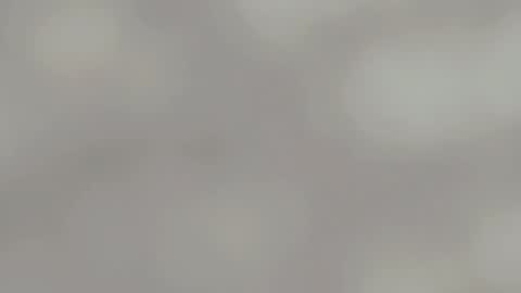 April online show from January 15, 2025, 4:57 am