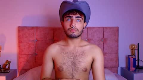 Ares Alpha  online show from October 28, 2025, 7:05 pm