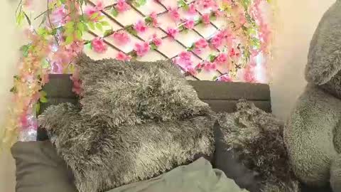 aria_silk online show from June 28, 2026, 2:23 pm