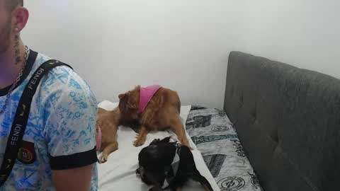 Snapshot of ariana_esteban07 chatting on February 6, 2026, 10:29 am ariana_esteban07 online show from February 6, 2026, 10:29 am