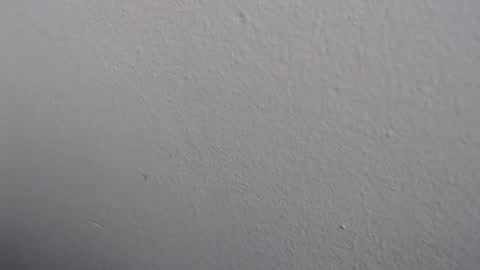 Snapshot of ariannaloovel chatting on May 27, 2026, 3:09 pm ariannaloovel online show from May 27, 2026, 3:09 pm