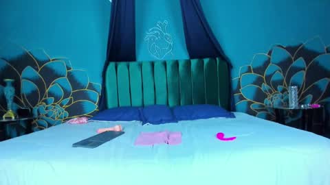 Snapshot of arii_moon chatting on February 22, 2025, 10:42 pm Ari online show from February 22, 2025, 10:42 pm