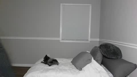 Snapshot of ariicutekitty chatting on July 28, 2026, 2:51 am airskiii online show from July 28, 2026, 2:51 am