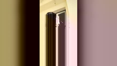 Snapshot of arilavish chatting on April 11, 2026, 5:34 am arilavish online show from April 11, 2026, 5:34 am