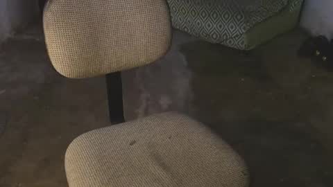 Snapshot of aron_7 chatting on March 8, 2025, 4:34 am aron_7 online show from March 8, 2025, 4:34 am