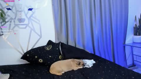 Aron Santoro online show from January 12, 2025, 4:31 am