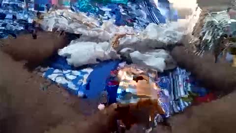 Snapshot of arshkhant987 chatting on September 16, 2025, 5:41 am arshkhant987 online show from September 16, 2025, 5:41 am