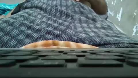 art_max99xxx online show from January 11, 2025, 11:13 pm