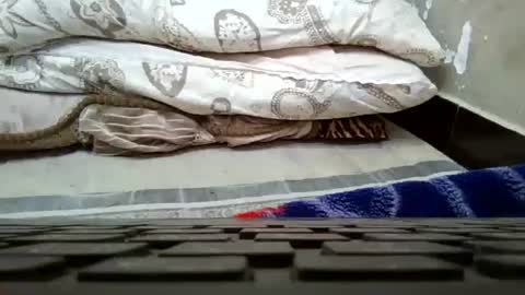 art_max99xxx online show from January 16, 2025, 1:16 am