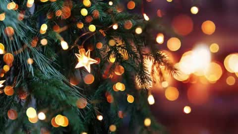 natra online show from December 23, 2024, 6:16 pm