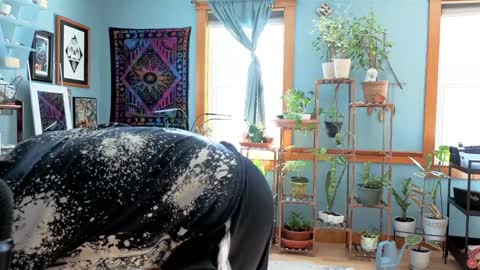 Artie Paints online show from December 22, 2024, 3:22 pm