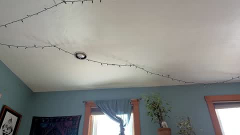 Artie Paints online show from January 3, 2025, 4:27 pm