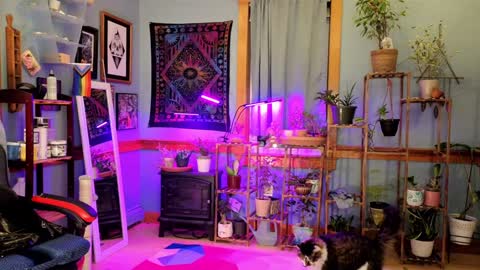 Artie Paints online show from January 4, 2025, 12:16 am