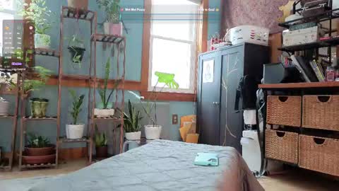 Artie Paints online show from February 10, 2025, 5:30 pm