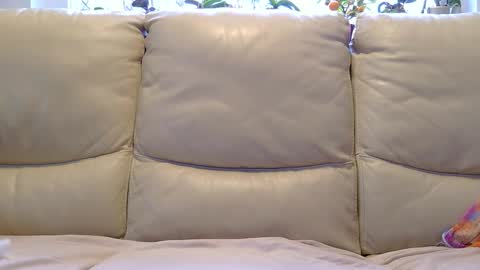 aryton_67 online show from January 26, 2025, 8:25 am