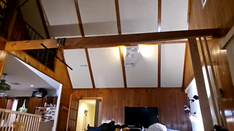 Snapshot of ashelynngrey1986 chatting on February 27, 2025, 2:21 am Ashelynn Grey online show from February 27, 2025, 2:21 am