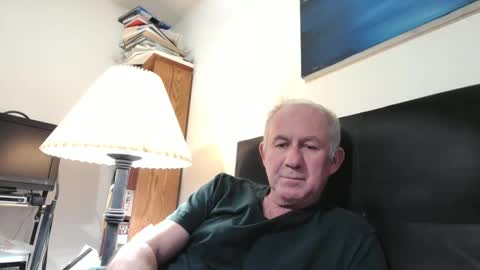 Snapshot of aspenleaf chatting on January 31, 2025, 2:04 am aspenleaf online show from January 31, 2025, 2:04 am