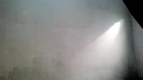 ass_elbonypussy online show from May 23, 2026, 6:51 am