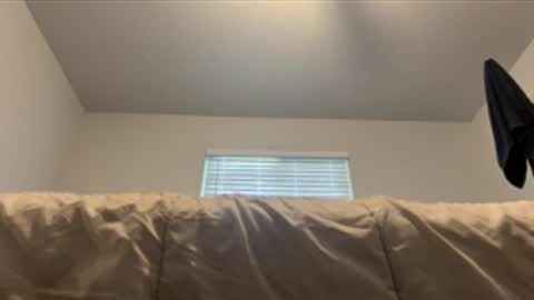 Snapshot of assilem277 chatting on June 1, 2026, 7:48 pm danni travis online show from June 1, 2026, 7:48 pm