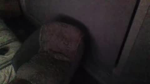 aszttz online show from February 8, 2025, 2:27 pm