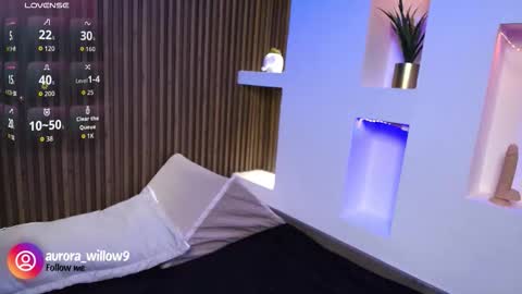 Snapshot of aurora_willow9 chatting on February 3, 2026, 6:57 pm aurora_willow9 online show from February 3, 2026, 6:57 pm