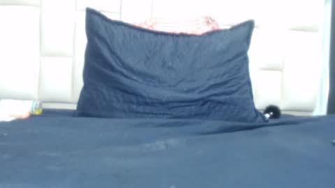 Snapshot of auroraa_miller chatting on January 4, 2025, 3:17 pm auroraa_miller online show from January 4, 2025, 3:17 pm