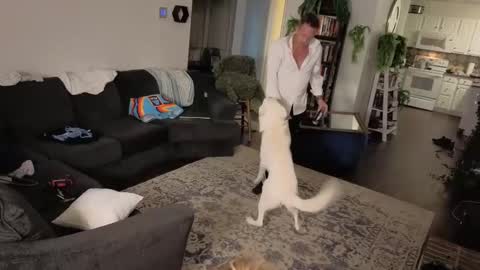 Snapshot of auroraandorion chatting on October 16, 2025, 11:28 pm Aurora and Orion online show from October 16, 2025, 11:28 pm