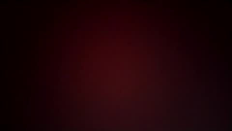 Lex online show from January 25, 2025, 10:50 pm