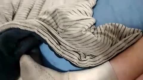 Lex online show from October 14, 2025, 4:24 am