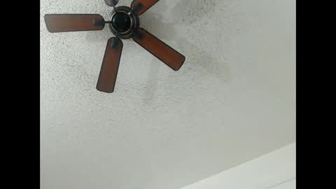 Snapshot of avalkyerieandherheathen chatting on February 13, 2025, 1:19 am Lily Orion online show from February 13, 2025, 1:19 am