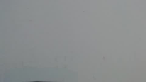 avanahomi online show from October 20, 2025, 11:21 am