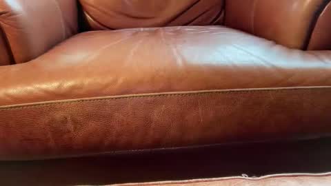 Snapshot of avgdiver chatting on January 18, 2026, 8:23 pm avgdiver online show from January 18, 2026, 8:23 pm