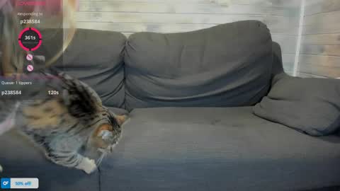 Snapshot of azalea_love chatting on April 16, 2026, 1:23 pm Maribel Bel online show from April 16, 2026, 1:23 pm