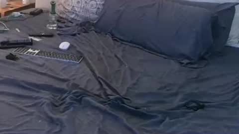 azslamslut2gape online show from November 15, 2025, 9:00 pm