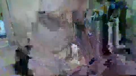BERT online show from May 28, 2026, 5:43 pm