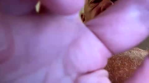 benito online show from September 28, 2025, 7:52 pm