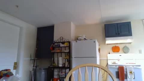 Snapshot of babiifern chatting on October 14, 2025, 2:29 pm Fern Browning online show from October 14, 2025, 2:29 pm