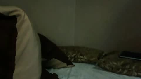 Snapshot of baby_trans21 chatting on October 30, 2025, 3:30 am baby_trans21 online show from October 30, 2025, 3:30 am