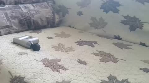 Snapshot of babymom1 chatting on March 9, 2025, 2:21 pm babymom1 online show from March 9, 2025, 2:21 pm