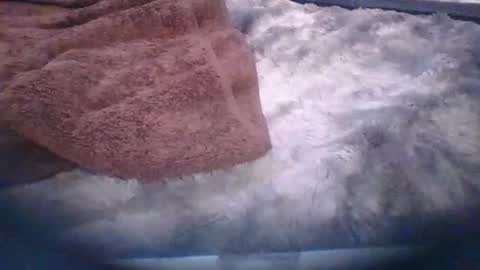 bacchusexx15 online show from March 30, 2026, 6:42 pm