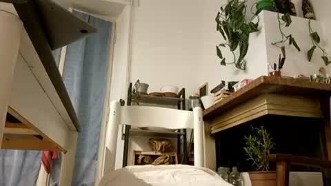 Snapshot of bach77 chatting on June 16, 2026, 7:49 pm bach online show from June 16, 2026, 7:49 pm