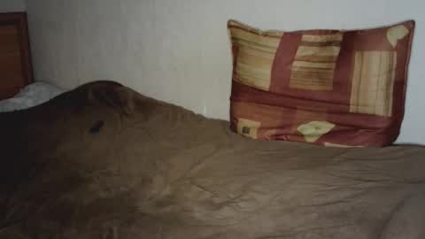 Shane  The cutest badass in the world online show from February 12, 2025, 12:16 am