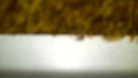 Snapshot of bagalan chatting on December 19, 2024, 4:23 am Carlos online show from December 19, 2024, 4:23 am