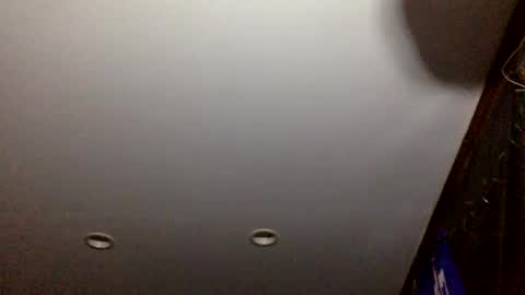 bagchaserbih online show from April 2, 2026, 7:17 am