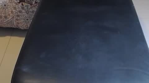 baker305 online show from October 30, 2025, 2:46 am