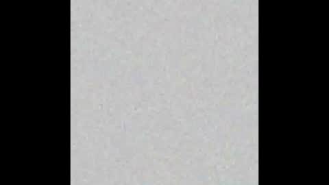 Snapshot of ballicker1957 chatting on March 12, 2025, 12:15 pm ballicker1957 online show from March 12, 2025, 12:15 pm