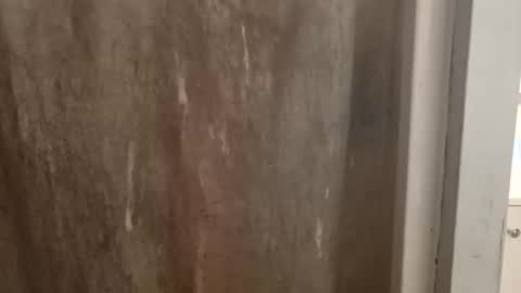 ballshanginglowaf online show from September 28, 2025, 11:59 am